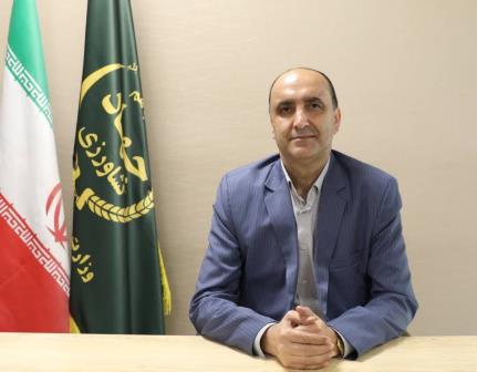 سایز متوسط.jpg